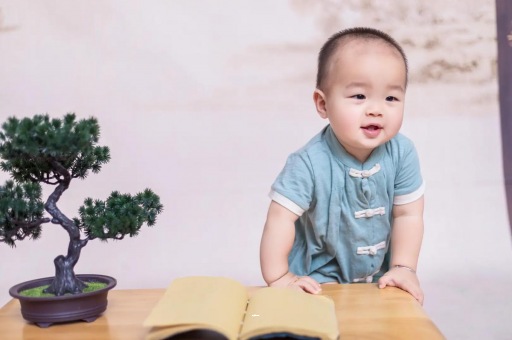 澧县可爱的企鹅宝宝